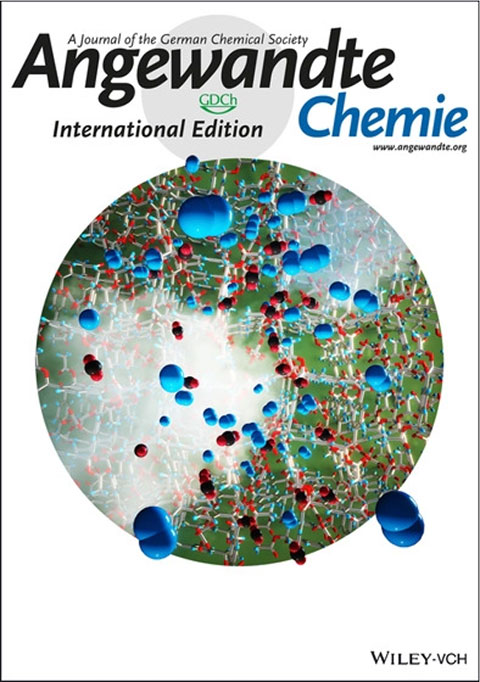Physical Chemistry Letters Cover